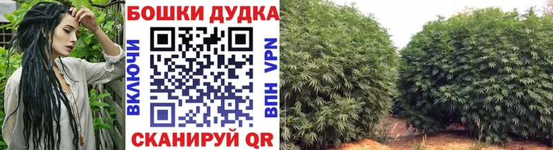 Каннабис гибрид  blacksprut онион  shop клад  Горнозаводск 